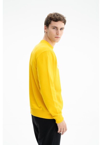 Erkek Yazı Baskılı Regular Fit Şardonsuz 3 İplik Bisiklet Yaka Sweatshirt K26124601201