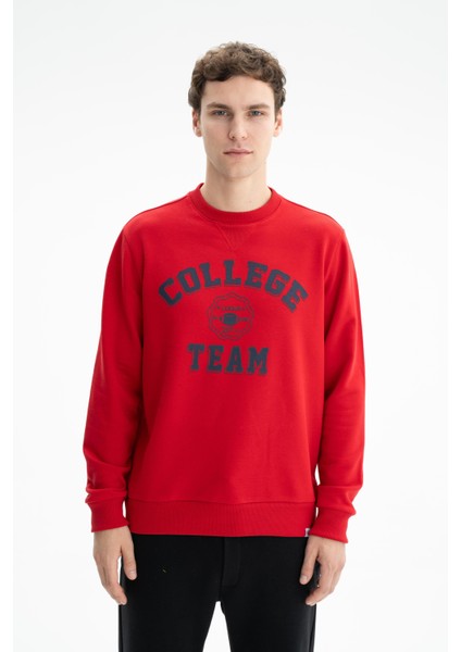 Erkek Yazı Baskılı Regular Fit Şardonsuz 3 İplik Bisiklet Yaka Sweatshirt K26124601201