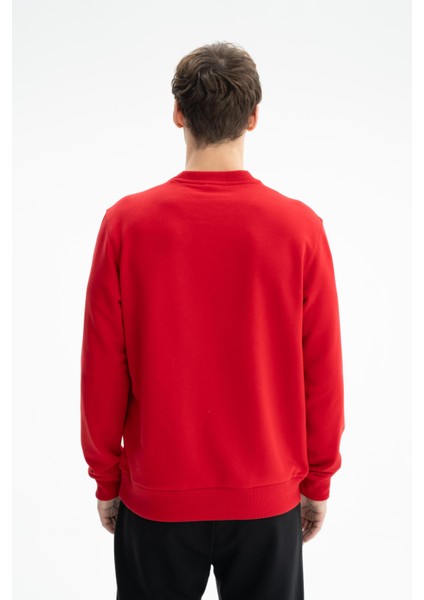 Erkek Yazı Baskılı Regular Fit Şardonsuz 3 İplik Bisiklet Yaka Sweatshirt K26124601201 indirimleri