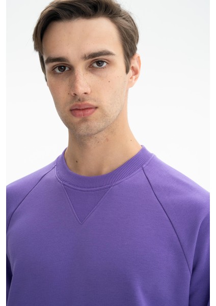 Erkek Regular Fit Şardonsuz 3 İplik Kanguru Cepli Bisiklet Yaka Sweatshirt K26124601801