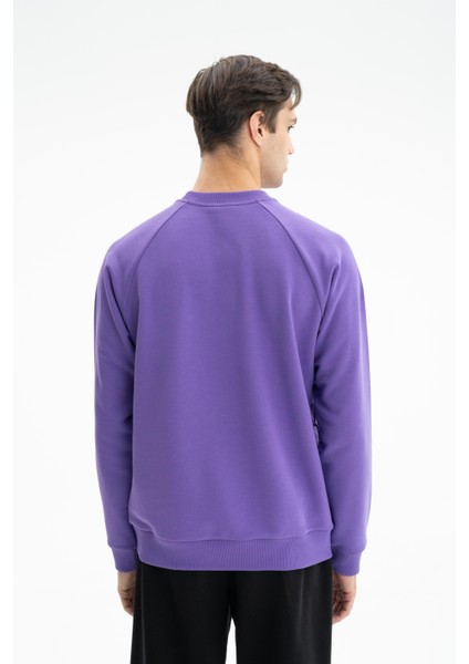 Erkek Regular Fit Şardonsuz 3 İplik Kanguru Cepli Bisiklet Yaka Sweatshirt K26124601801