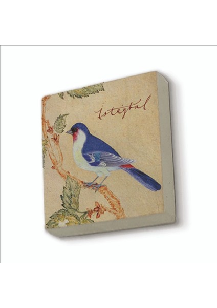 Istanbul Kuşu Baskılı Doğaltaş MAGNETKRT-068BUZDOLABI Süsü