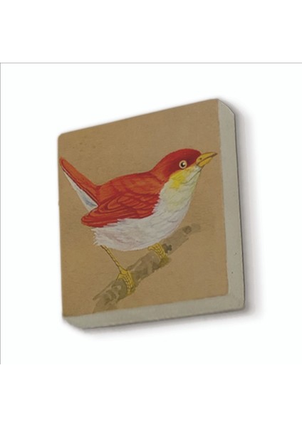 Kuş Baskılı Doğaltaş MAGNETKRG-157BUZDOLABI Süsü