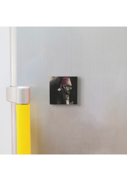 2. Abdülhamid Baskılı Doğaltaş MAGNETKRT-097BUZDOLABI Süsü modelleri