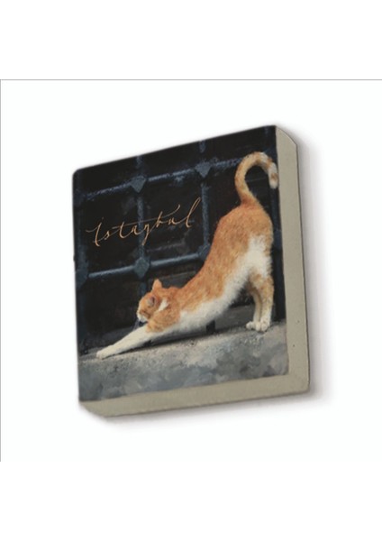 Istanbul Kedisi Baskılı Doğaltaş MAGNETKRT-063BUZDOLABI Süsü