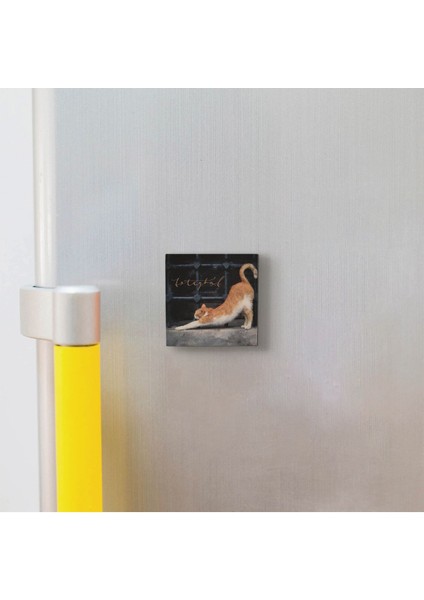 Istanbul Kedisi Baskılı Doğaltaş MAGNETKRT-063BUZDOLABI Süsü modelleri