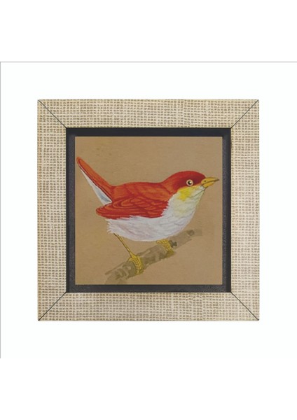 Kuş Baskılı Mdf MAGNETKRG-157BUZDOLABI Süsü fırsatları