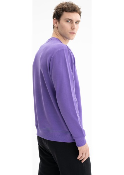 Erkek Tarz Yazı Baskılı Regular Fit Şardonsuz 3 İplik Bisiklet Yaka Sweatshirt K26124601601 fırsatları