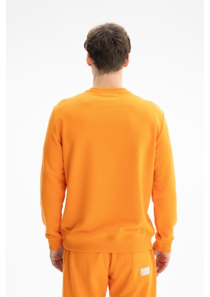 Erkek Tarz Yazı Baskılı Regular Fit Şardonsuz 3 İplik Bisiklet Yaka Sweatshirt K26124601601 indirimleri