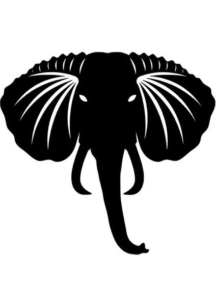 Sinirli Fil Sticker Duvar Dekor Sticker 40 x 36 cm