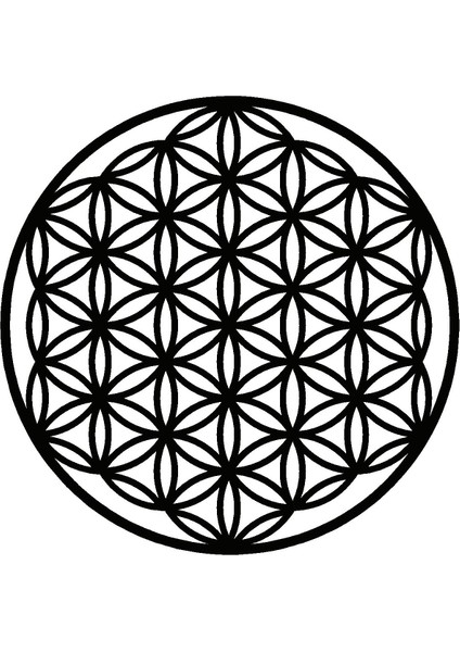 Çiçek Deseni Duvar Dekor Sticker (Tip 11) 40 x 40 cm