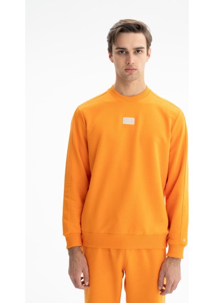 Erkek Sade Şık Regular Fit Şardonsuz 3 İplik Bisiklet Yaka Sweatshirt K26124601401