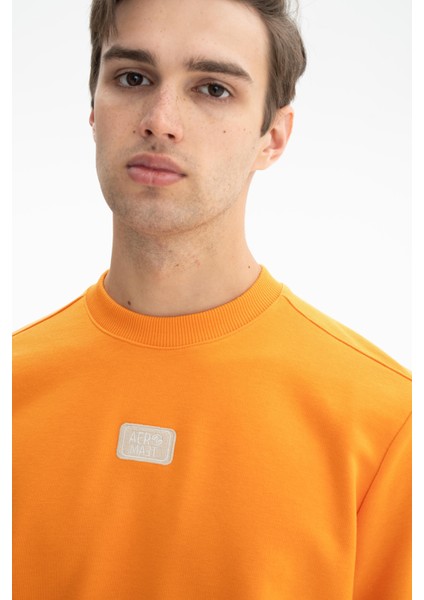 Erkek Sade Şık Regular Fit Şardonsuz 3 İplik Bisiklet Yaka Sweatshirt K26124601401 fiyatları