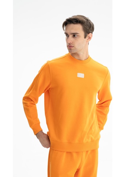 Erkek Sade Şık Regular Fit Şardonsuz 3 İplik Bisiklet Yaka Sweatshirt K26124601401 modelleri