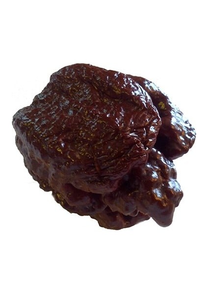 Moruga Akrebi Biber Kurutulmuş Biberin Kendisini Gönderiyoruz +1 Adet ( Trinidad Moruga Scorpion )