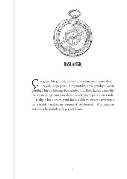 İmkânsız Yaratıklar (Ciltli) - Katherine Rundell