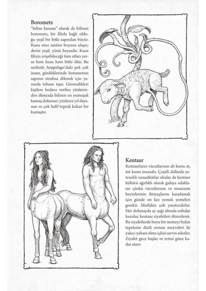 İmkânsız Yaratıklar (Ciltli) - Katherine Rundell indirimleri