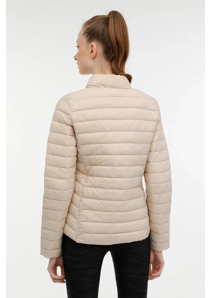 3w wb padded 1sn28 3pr 101399214 fiyatları