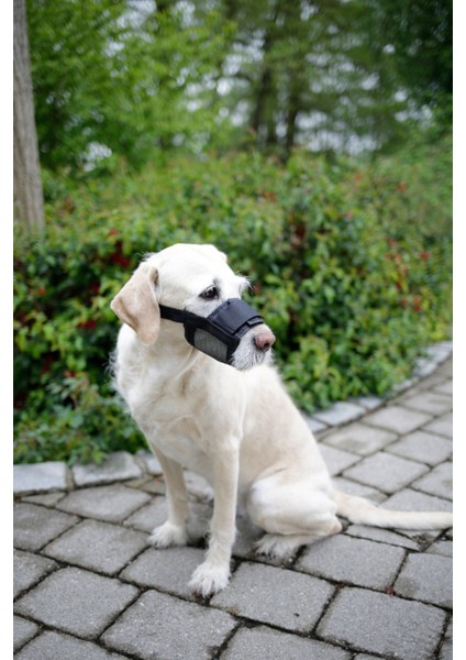 Köpek Ağızlığı Muzzle Nylon 12 – 14 cm