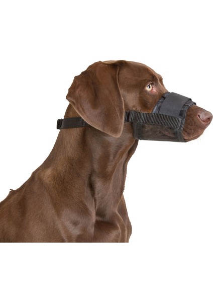 Köpek Ağızlığı Muzzle Nylon 20 – 26 cm