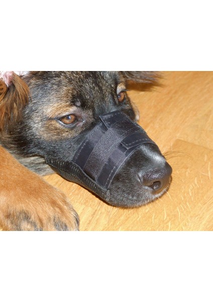 Köpek Ağızlığı Muzzle Nylon 18 – 24 cm