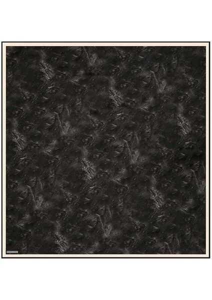 Siyah Fırça Ipek Eşarp