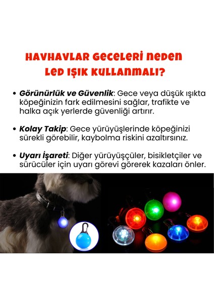 Köpek Gezdirme Seti Turuncu Renkli Köpek Çantası 4 Rulo Kaka Poşeti ve Köpek Tasma Ucu LED Işık