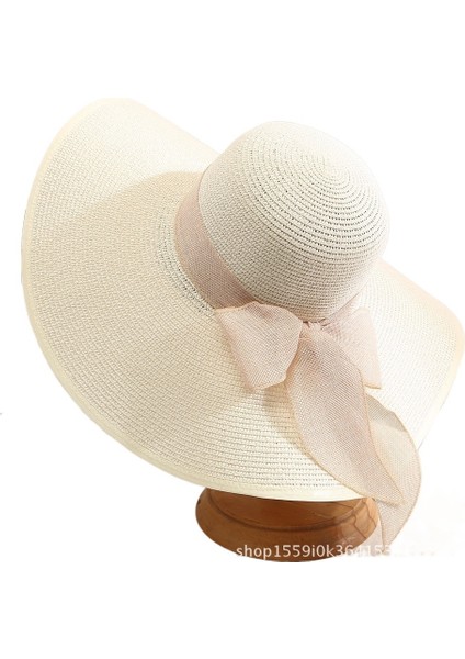 Yaz Güneş Şapkası Bayanlar Plaj Şapkası Büyük Kenar Uv Güneşlik Şapkası (Yurt Dışından)