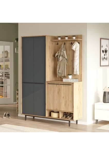 Oasis Portmanto Vestiyer Ayakkabılık Metal Ayaklı Sepet-Antrasit fiyatları