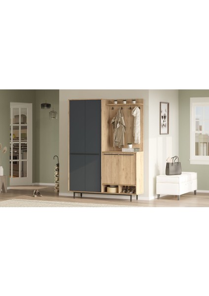 Oasis Portmanto Vestiyer Ayakkabılık Metal Ayaklı Sepet-Antrasit modelleri