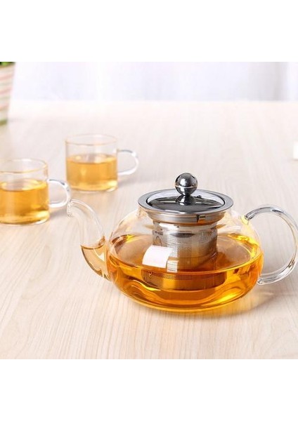 Temizle Borosilikat Cam Çaydanlık Paslanmaz Çelik ile Demlik Süzgeç Isıya Dayanıklı Gevşek Yaprak Çaydanlık Su Isıtıcısı Set Teaware | Çaydanlıklar (Yurt Dışından)