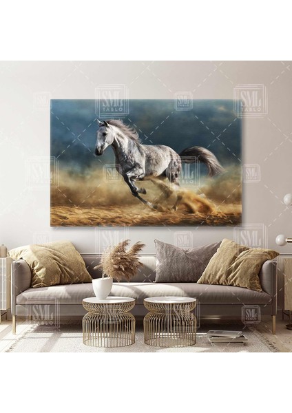 Horse Beyaz At Kumda Koşan Beygir Yarış Atı Yatay Kanvas Tablo