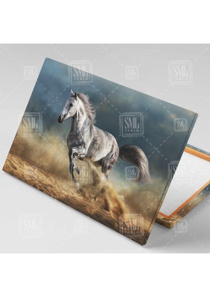 Horse Beyaz At Kumda Koşan Beygir Yarış Atı Yatay Kanvas Tablo