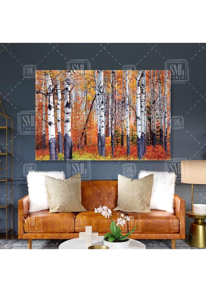 Aspen Ağaçları Banff Ulusal Orman Sonbahar Ağaçları Sarı Kaverengi Yapraklar Hazan Mevsimi Yatay Kanvas Tablo