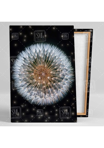 Karahindiba Çiçeği Püf Üfle Kara Hindiba Çiçeği Dikey Kanvas Tablo fiyatları