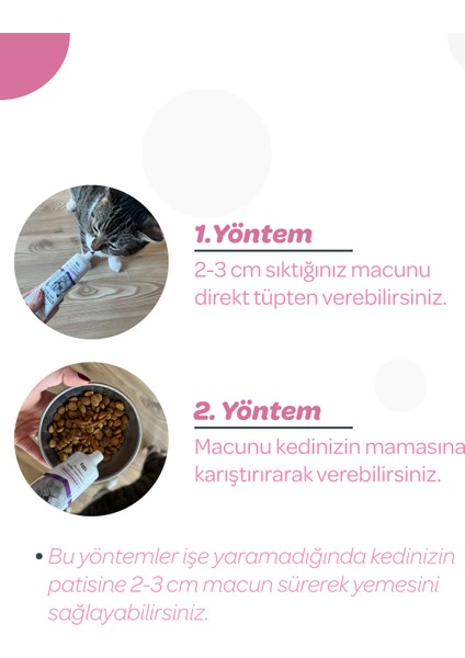 Vet's Plus Yavru Kediler İçin Malt Kedi Macunu 100gr (Hamile Kediler İçin Folik Asitli)