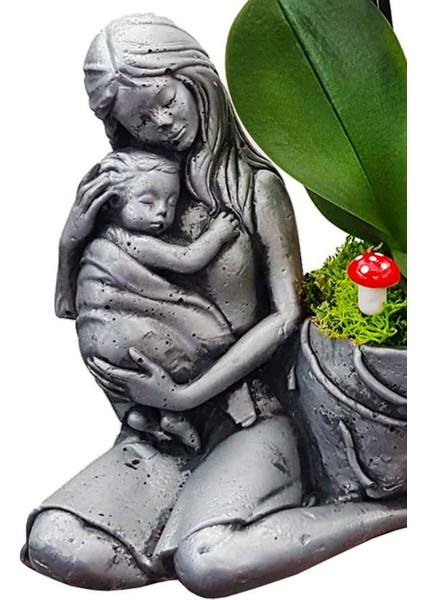 Statue Grey Serisi Phalaenopsis Orkide & Anne Çoçuk Saksıda Orkide Çiçeği Anneye Canlı Bitki