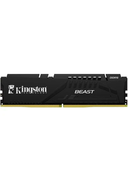 Beast Black Expo 32 GB 5200 MHz DDR5 Ram KF552C36BBE