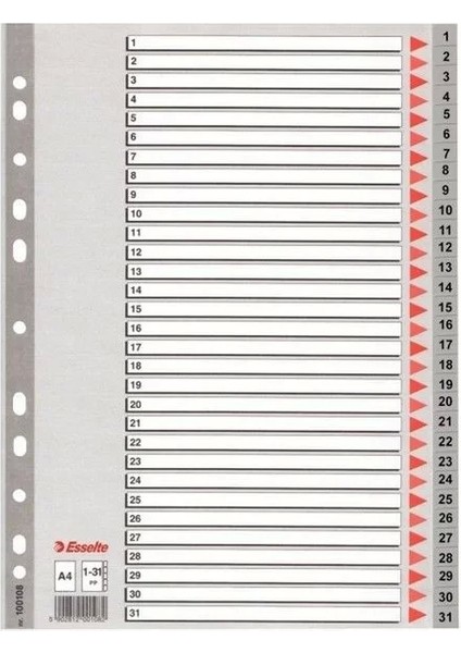 Seperatör 1 31 Rakamlı Ayraç