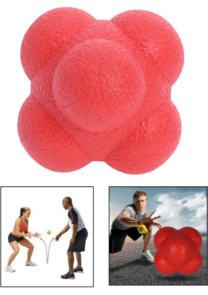 5,5 cm Reaksiyon , Çoklu Çeviklik Antrenörü, Fun Agility Kırmızı (Yurt Dışından) modelleri