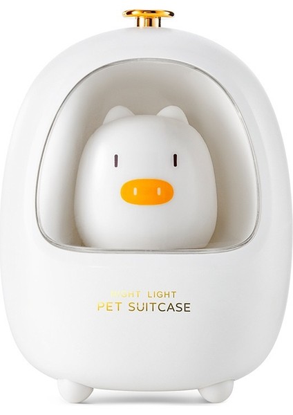 Evcil Hayvan Kutusu Gece Lambası (Yurt Dışından)