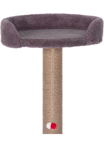 Hoppala Kedi Tırmalaması Sünger Kenar fırsatları