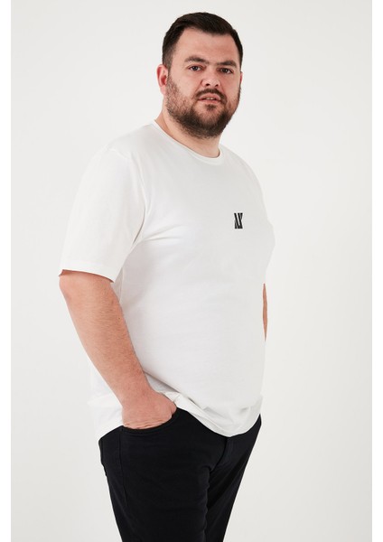Pamuklu Regular Fit Bisiklet Yaka Büyük Beden T Shirt Erkek T Shirt 5902753B