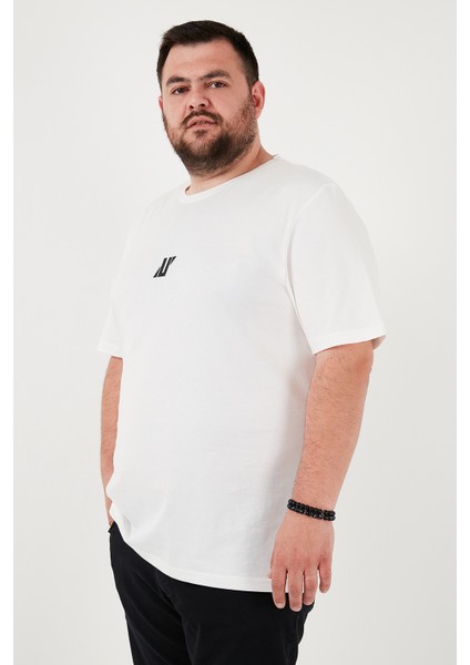 Pamuklu Regular Fit Bisiklet Yaka Büyük Beden T Shirt Erkek T Shirt 5902753B