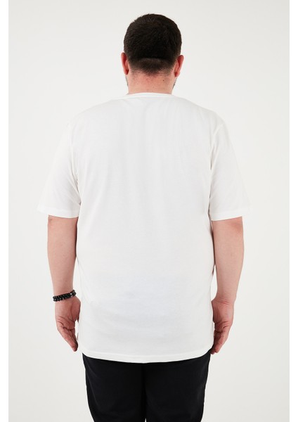 Pamuklu Regular Fit Bisiklet Yaka Büyük Beden T Shirt Erkek T Shirt 5902753B