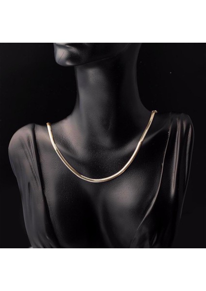 14 Ayar Altın 2 Mm. Balıksırtı Zincir Kolye 65 Cm. fiyatları