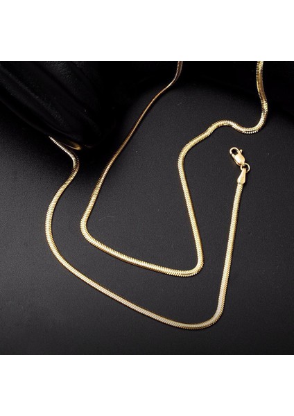 14 Ayar Altın 2 Mm. Balıksırtı Zincir Kolye 65 Cm. fırsatları