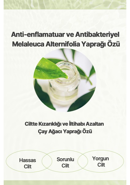 ByeoLee Çay Ağacı Özü Kore Emulsion Nemlendirici Yatıştırıcı Akne Karşıtı Yüz ve Tüm Vücut İçin 130 ml