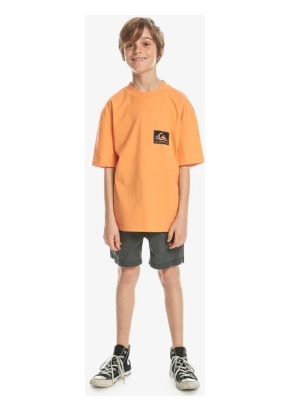 Back Flash Erkek Çocuk T-Shirt 8-16 Yaş Eqbzt04706 modelleri