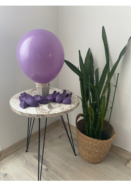 Pastel Lavanta Balon 10LU